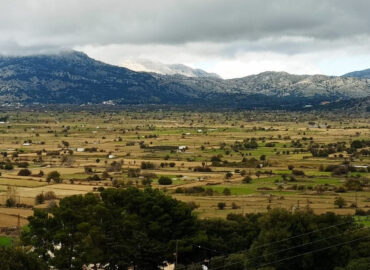 Lasithi Plateau in Crete during a private tour experience