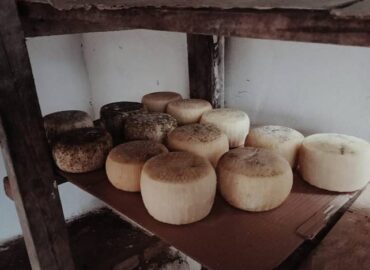 Local Cretan food experience at Lasithi Plateau