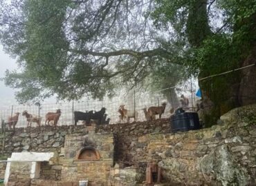 Authentic Cretan experience at Lasithi Plateau